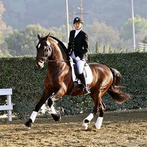 Meet your Posher, Melodie